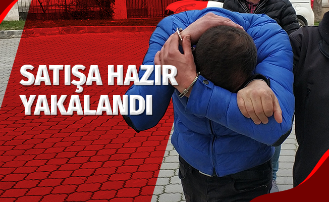41 Paket Bonzaiyi Satacakken Yakalandı