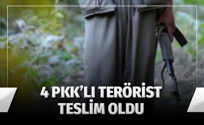 4 PKK'lı Terörist Teslim Oldu