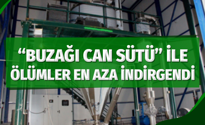 "Buzağı Can Sütü" ile ölümler en aza indirgenecek