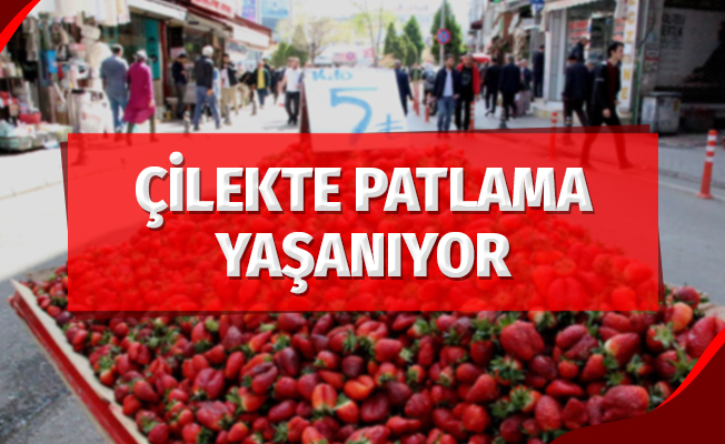 Çilekte Patlama Yaşanıyor