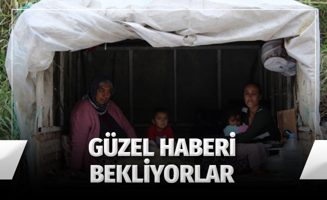 Kamyonet Kasasında Umutlu Bekleyiş