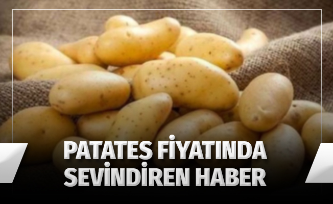 Patatesin fiyatı 1,5 liraya kadar düşebilir
