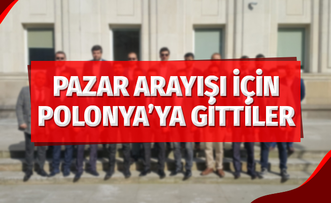 Pazar arayışları için Polonya'ya gittiler