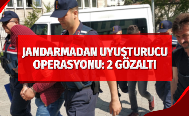 Jandarmadan uyuşturucu operasyonu: 2 gözaltı