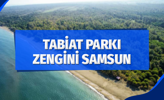 Tabiat parkı zengini Samsun