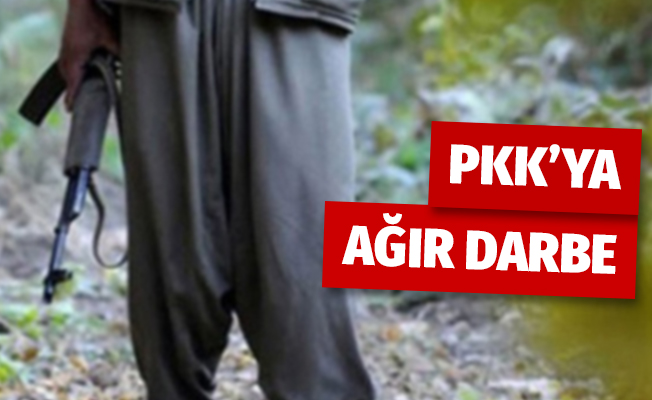 PKK'ya darbe, etkisiz hale getirilen terörist sayısı 48 oldu