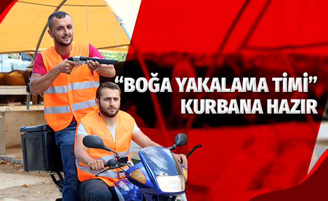 “Boğa Yakalama Timi” kurbana hazır