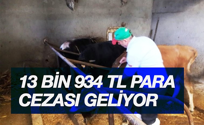 Hayvanların zorunlu aşılarını yaptırmayanlara 13 bin 934 TL para cezası