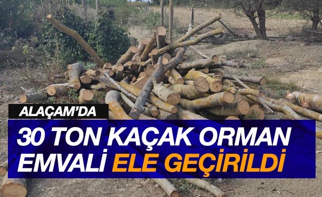 Alaçam'da 30 ton kaçak orman emvali ele geçirildi