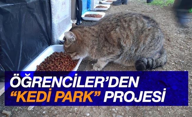Öğrencilerden “Kedi Park Projesi"