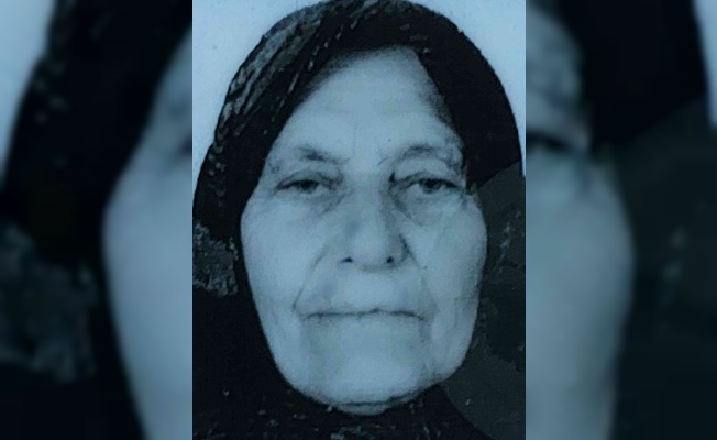 Ekmek aracının çarptığı yaşlı kadın hayatını kaybetti