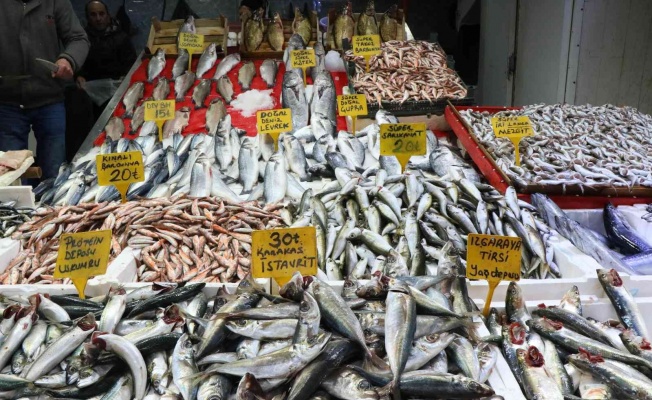 Samsun’da balık fiyatları arttı