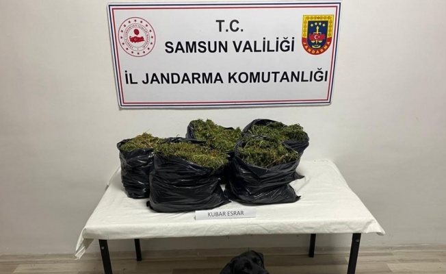 Samsun’da yazlık eve operasyon: 15 kilo kubar esrar ele geçirildi, 2 kişi yakalandı