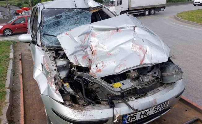 Samsun’da otomobil kamyona çarptı: 1 yaralı