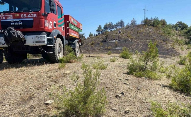 Samsun’da örtü yangını