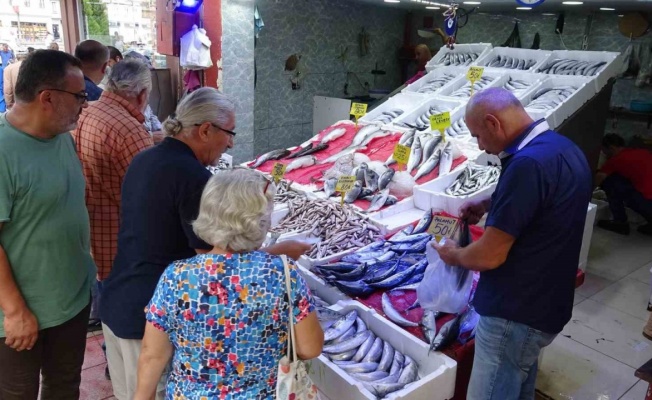 Karadeniz’de palamut bereketi: Tanesi 50 TL