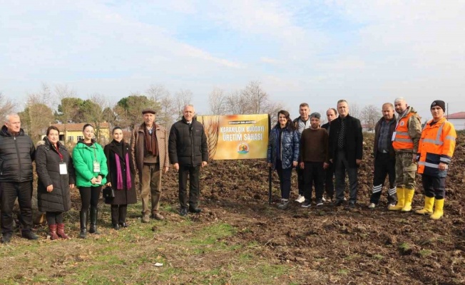Atakum’da hayvancılık yapan ailelere yem bitkisi desteği