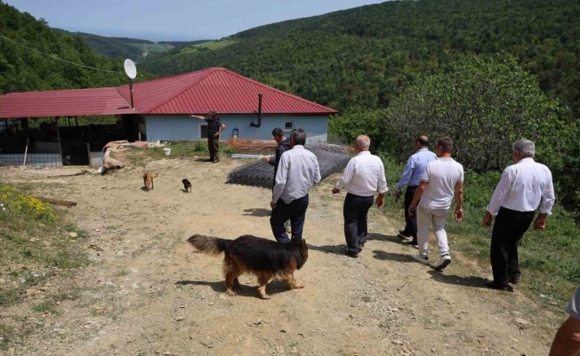 Bafra’da muhtarların tepkisini çeken izinsiz köpek barınağı mühürlenerek kapatıldı