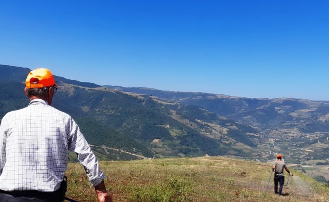 Samsun Canik’te çekirge istilasına karşı devlet destekli ilaçlama