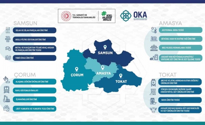 Yerel Kalkınma Hamlesi Programı kapsamında desteklenecek sektörler belirlendi