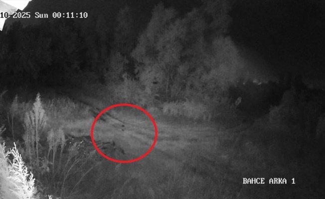 Samsun’da 2 haftadır kayıp olan genç ilçede paniğe yol açtı: Vatandaşlar tedirgin