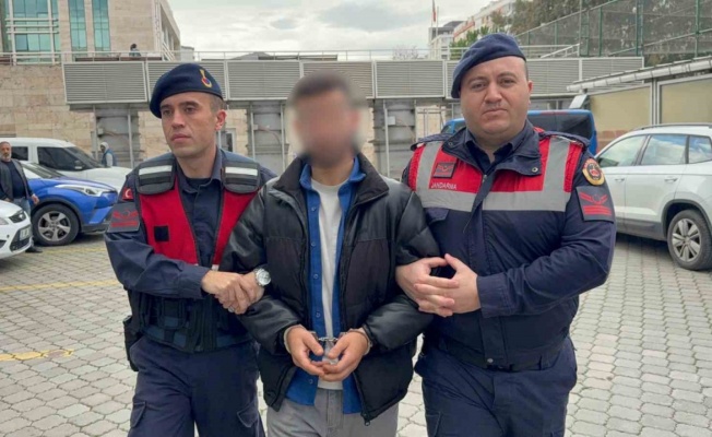 Jandarmadan uyuşturucu operasyonu: 1 gözaltı