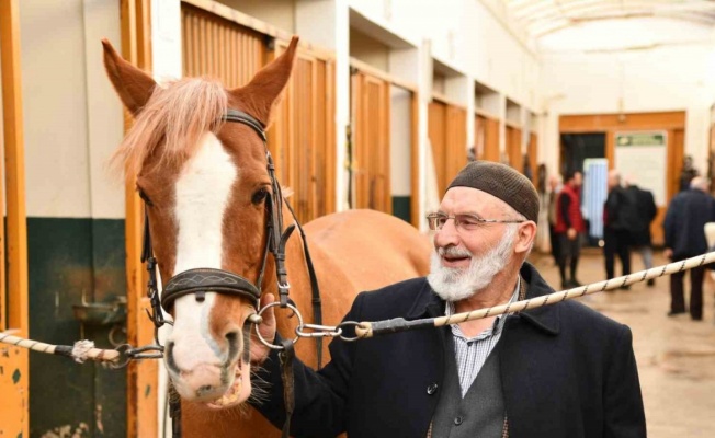 Samsun’da 25 bin yaşlıya hizmet verildi