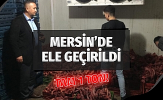 Mersin'de Tam 1 Ton Kaçak Kesilmiş Tavuk Yakalandı