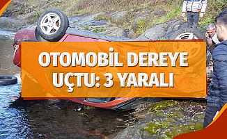 Otomobil Dereye Uçtu: 3 Yaralı