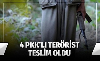 4 PKK'lı Terörist Teslim Oldu