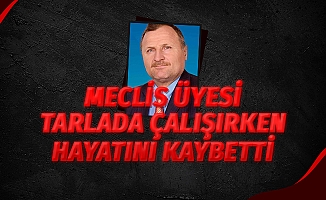 Meclis üyesi tarlada çalışırken hayatını kaybetti