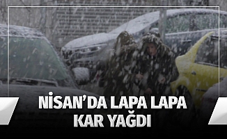 Nisan'da Lapa Lapa Kar Yağdı