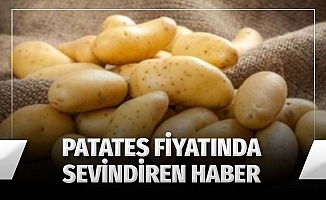 Patatesin fiyatı 1,5 liraya kadar düşebilir