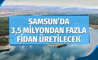 Samsun'da 3.5 Milyondan Fazla Fidan Üretilecek