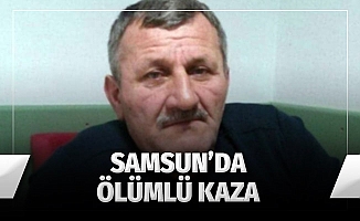 Kesilen Ağaç Üzerine Düştü, Can Verdi