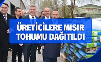 Üreticilere 19 ton silajlık mısır tohumu dağıtıldı