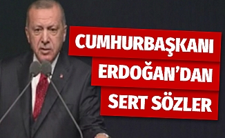 Cumhurbaşkanı Erdoğan: 'Bunlar politikanın yüz karası'