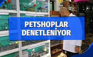 Ev ve süs hayvanı satış yerleri denetleniyor