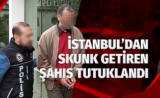 İstanbul'dan skunk getiren şahıs tutuklandı