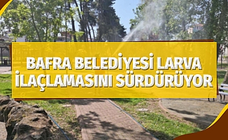 Bafra Belediyesi larva ilaçlamasını sürdürüyor