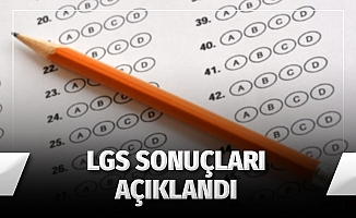 LGS sonuçları açıklandı! (2019 LGS sınav sonuçları son dakika)