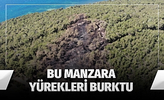 Heybeliada'da ormanda çıkan yangının sebep olduğu zarar havadan görüntülendi