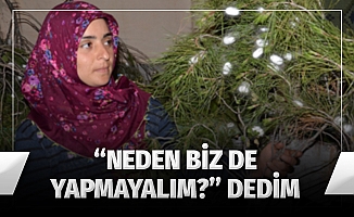 İzlediği belgeselden etkilendi ipek böceği yetiştirmeye başladı