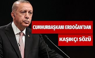 Cumhurbaşkanı Erdoğan'dan Kaşıkçı açıklaması