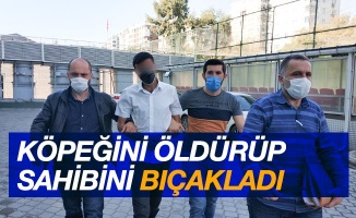 Köpeği öldürüp, sahibini bıçaklayan şahıs tutuklandı