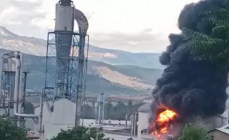Samsun’da orman ürünleri fabrikasında yangın