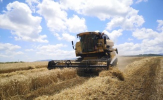 Samsun 2,5 milyon ton buğday ithalatı, 434 bin ton buğday unu ihracatı yaptı