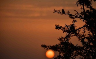 Kuş Cenneti’nde sonbahar