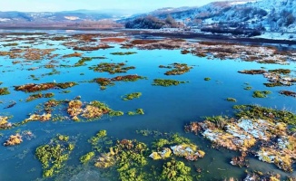 Beyaz gelinliğini giyen Ladik Gölü’nün güzelliği göz kamaştırdı