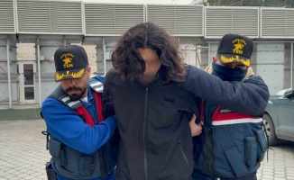 DEAŞ’tan gözaltına alınan yabancı uyruklu şahıs tutuklandı